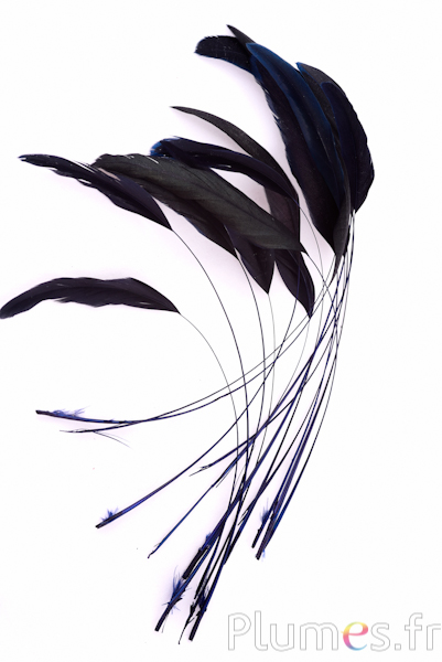 Coquetip - 20-25 cm - bleu nuit-noir